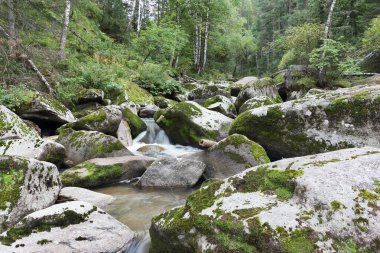 Belokurikha Nehri, Rusya 'nın Altai Bölgesi Belokurikha şehrinin tatil köyünde bir yaz günü
