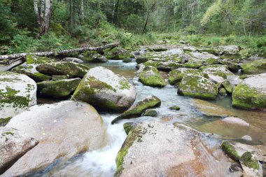 Belokurikha Nehri, Rusya 'nın Altai Bölgesi Belokurikha şehrinin tatil köyünde bir yaz günü