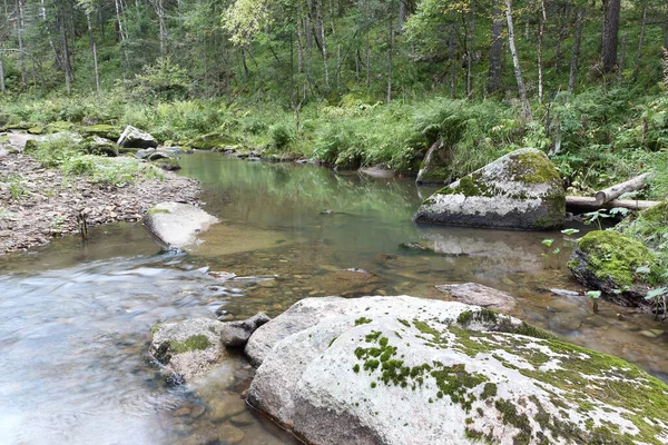 Belokurikha River Summer Day Resort Area Belokurikha City Altai Territory — Stock Photo, Image