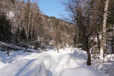 Belokurikha Nehri, Rusya 'nın Altai Bölgesi Belokurikha şehrinin tatil köyünde bir kış günüdür.