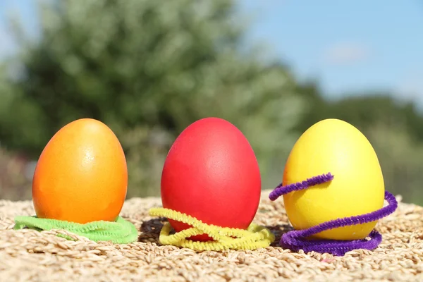 Easter eggs — Stock Photo, Image