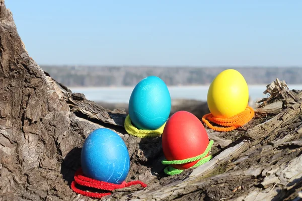 Easter eggs — Stock Photo, Image