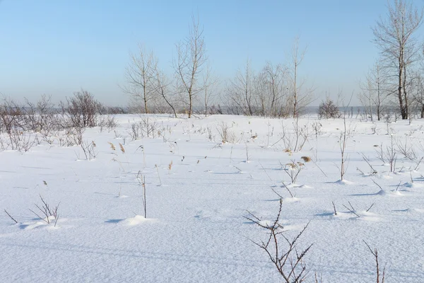 雪の空き地 — ストック写真