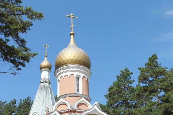 Church dome — Stock Fotó