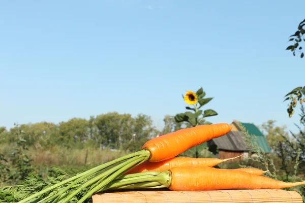 Carrots — Stock Photo, Image