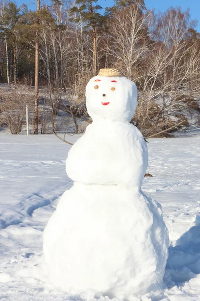 Boneco de neve — Fotografia de Stock