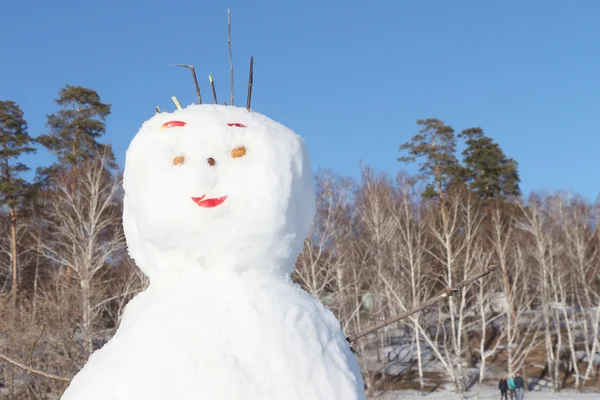 Boneco de neve — Fotografia de Stock