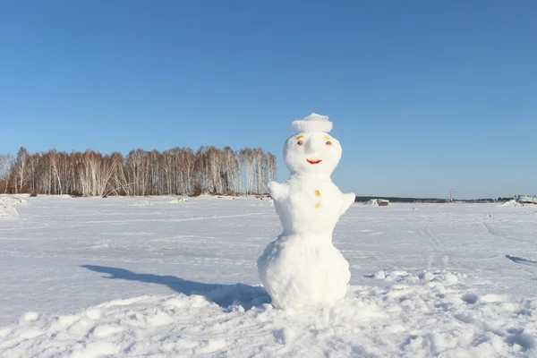 Снеговик — стоковое фото