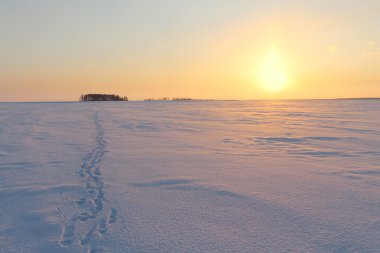 karla kaplı Nehri üzerinde düşüş