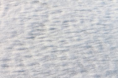 Bahar çözülme karda