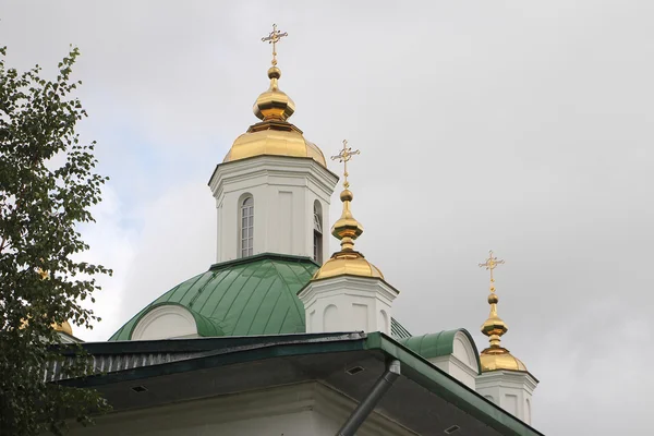 Собор Святых Петра и Павла, Россия, Пермь . — стоковое фото