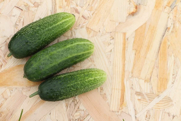 Die frischen Gurken, die auf einem Tisch im Garten liegen — Stockfoto