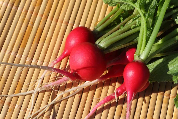 The fresh garden radish lying on a table in a garden — Stock Photo, Image