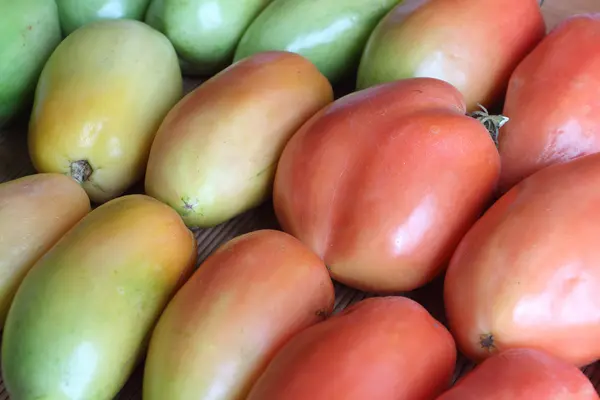 Hintergrund der reifen Tomaten — Stockfoto