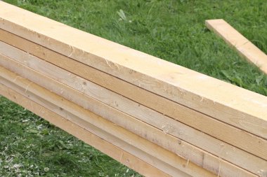 Yeşil çim karşı taze çam panoları