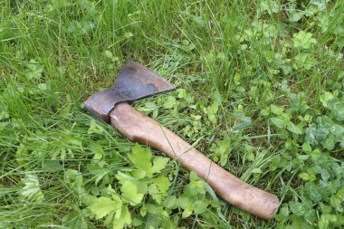 Açık havada yeşil çim üzerinde yalan balta