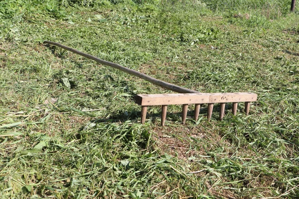 De houten hark, liggend op een gras in een tuin — Stockfoto