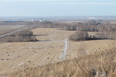 Saman sheaves sonbahar karla kaplı alan