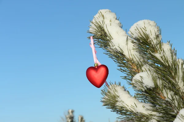 圣诞树上装饰的心 — 图库照片