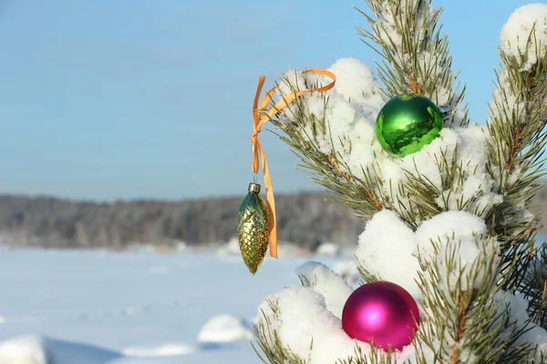 Decorações de árvore de Natal de vidro — Fotografia de Stock