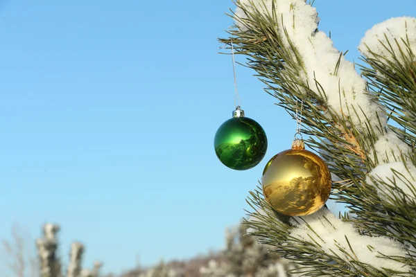 Spheres hanging on a branch — Stock Photo, Image