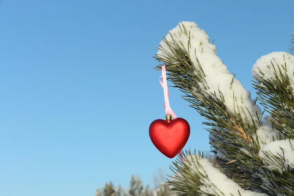 Noel ağacı süsleme kalp Stok Fotoğraf
