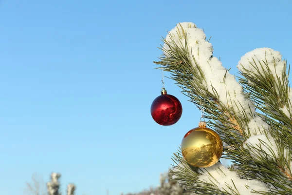 Spheres hanging on a branch Royalty Free Stock Images