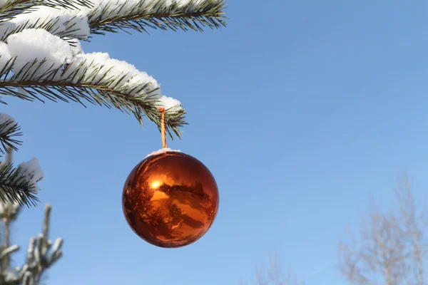 Sphere on a pine branch