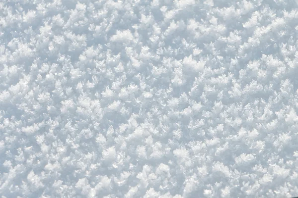 Achtergrond van de natuurlijke sneeuw in de winter buiten — Stockfoto