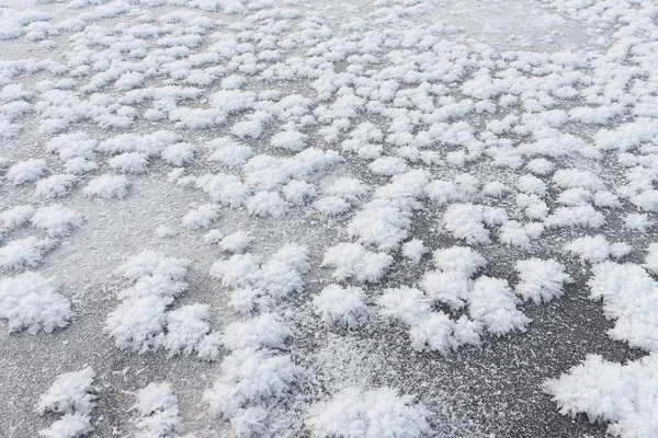 Φυσικό χιόνι υπόβαθρο υπό μορφή χιονιού τριαντάφυλλα για να σερφάρετε ένα πάγου — Φωτογραφία Αρχείου