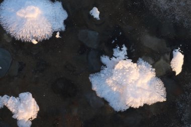 Kar kaprisli outgrowths Buz donmuş nehrin üzerinde