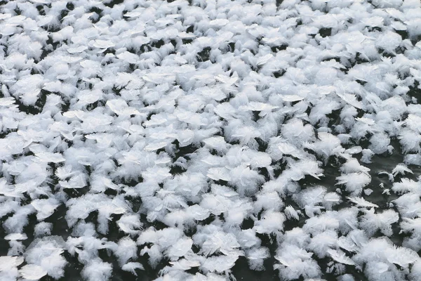 Cobertura de neve de uma forma estranha no gelo do rio congelado — Fotografia de Stock