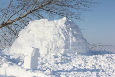 Kışın kar glade Igloo bir inşaat 