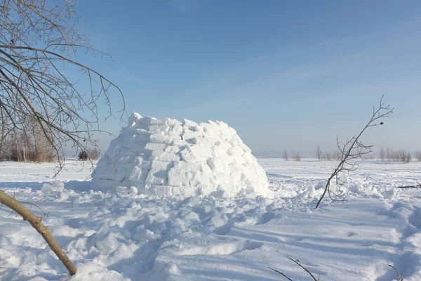 冬天一个冰屋雪林间空地上建设 — 图库照片