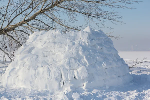 Construcción de un iglú en un claro de nieve en el invierno — Foto de Stock