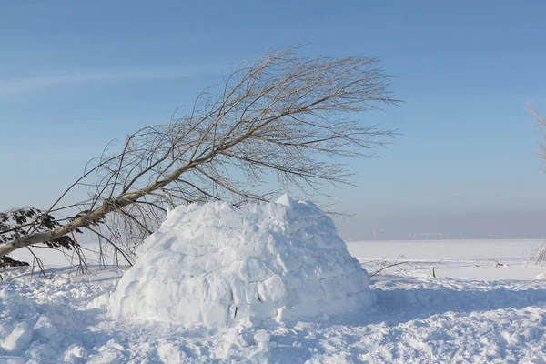 冬天一个冰屋雪林间空地上建设 — 图库照片