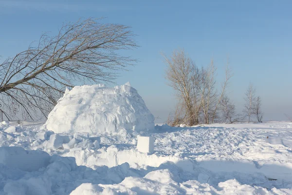 Construcción de un iglú en un claro de nieve en el invierno — Foto de Stock