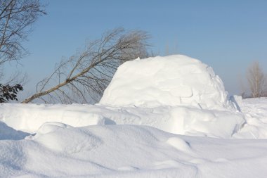 Kışın kar glade Igloo bir inşaat 