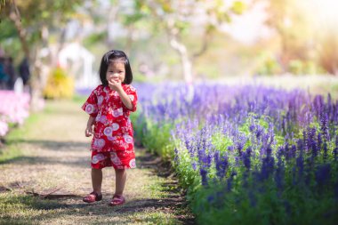 Kırmızı Japon elbisesi giyen mutlu Asyalı kız çocuğu ağzını açar ve gülümser. Çocuklar parktaki mor çiçek bahçesinde yürüyüşe çıkar. 2 yaşından büyük çocuklar. Yazın veya ilkbaharda.