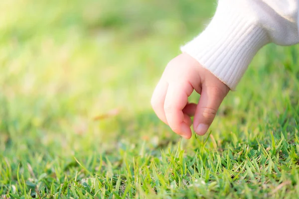 Gros Plan Une Jeune Fille Essayez Toucher Nature Herbe Verte — Photo