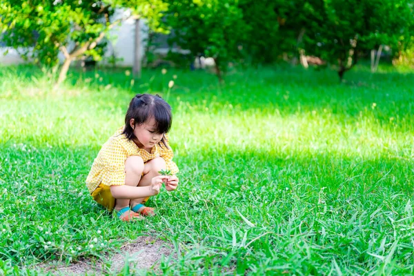 生态探索性概念 一个5岁的亚洲小女孩坐在温暖的草地上 小孩子打算用双手故意摘叶子或绿草 复制空间 — 图库照片