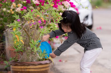 Evin önündeki ağaçları sulayan bir kız. Çocuk ebeveynlerinin işini hafifletmek için yardım eder. Sorumluluklarını yerine getirmeleri için çocuklara küçük görevler verin. Çocuk su bitkilerine su çekmek için mavi kase kullanıyor.