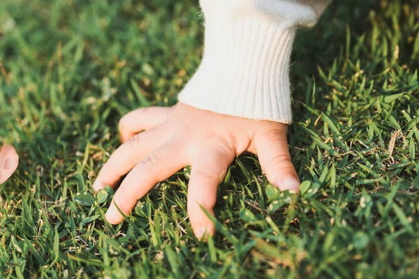 Tangan Gadis Kecil Itu Menyentuh Bagian Atas Rumput Halaman Hijau — Stok Foto