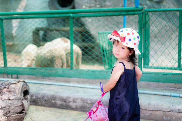 Pré Escolar Uma Menina Pequena Bonito Estão Passeando Empurrando Carrinho — Fotografia de Stock