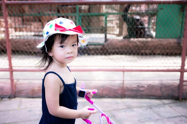 Menina Asiática Bonito Andando Parque Zoológico Animal Empurrando Carrinho Brinquedo — Fotografia de Stock