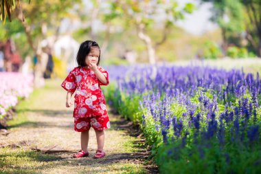 Sevimli kız mor çiçek bahçesinde yürüyor. Kırmızı Japon tarzı elbise giyen Asyalı bir çocuk. Çocuklar ellerini ağızlarına koyarlar. Tayland 'da kışın. Güneş sıcacık. 2-3 yaşlarında bir bebek..