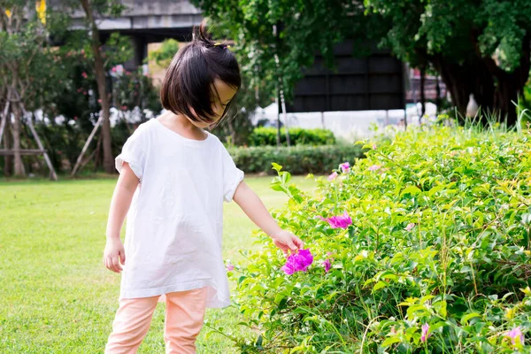 Foco Seletivo Menina Asiática Tocando Flores Papel Rosa Jardim Criança — Fotografia de Stock