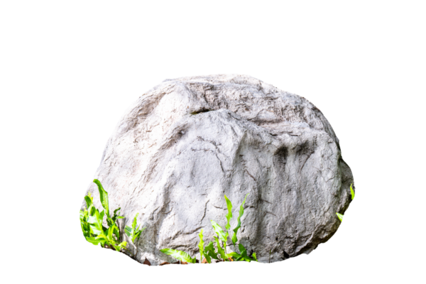 Minimalist gösteri konsepti. Belirgin, yıpranmış bir bahçe taşı ya da taşı canlı yeşil yapraklar arasında bulunur, modeller ya da tasarım elementleri için temiz bir şekilde izole edilmiştir. Doğal malzemelerin saf güzelliği.