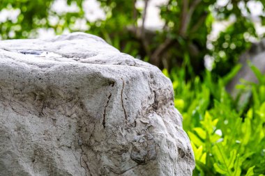 Doğal eskimiş dokuları ve organik desenleri olan büyük beyaz bir bahçe taşının yakın çekimi. Açık hava ortamında yemyeşil eğreltiotlarıyla çevrili, peyzaj tasarımı için mükemmel..