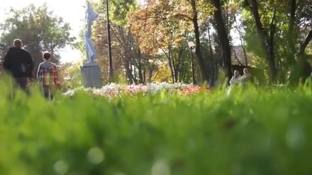 Gras im Park — Stockvideo